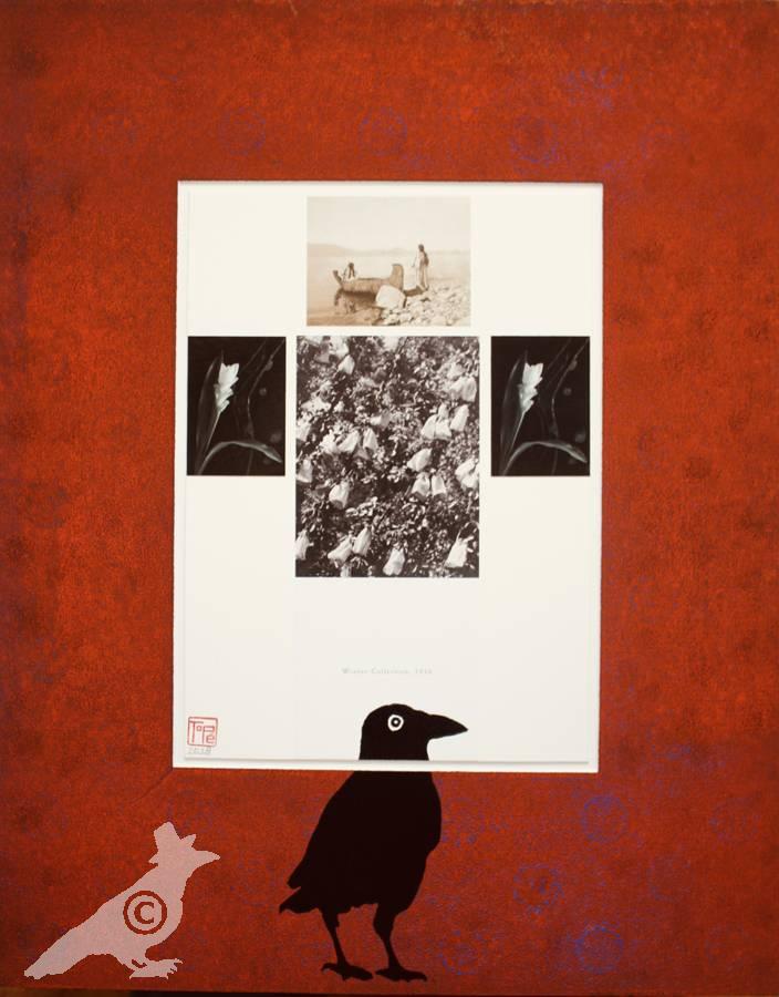 ToP&eacute; Meets Man Ray and the Indians of Curtis 2 2018